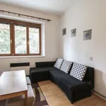 Rent 2 bedroom apartment of 48 m² in Capital City of Prague