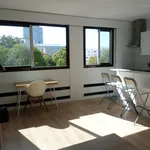 Rent 1 bedroom apartment of 27 m² in Paris