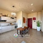 Rent 2 bedroom apartment of 55 m² in Pisa