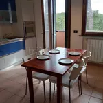 Rent 3 bedroom apartment of 50 m² in Rosignano Marittimo