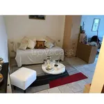 Rent 1 bedroom apartment of 36 m² in Firenze