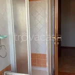 Rent 2 bedroom apartment of 50 m² in Borgo Veneto