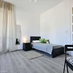 Rent a room of 130 m² in turin