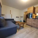 Rent 2 bedroom apartment of 28 m² in GRENOBLE