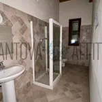 Rent 6 bedroom house of 240 m² in San Giorgio Bigarello