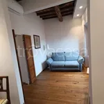 Rent 3 bedroom apartment of 60 m² in Firenze