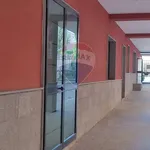 Affitto 4 camera appartamento di 110 m² in Caserta