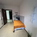 Rent 13 bedroom apartment in Trento