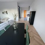 Huur 2 slaapkamer appartement van 89 m² in Zandvoort