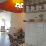 Rent 1 bedroom apartment of 50 m² in Dresden