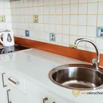 Rent 1 bedroom apartment of 20 m² in Wrocław