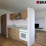 Rent 1 bedroom apartment of 36 m² in Brno