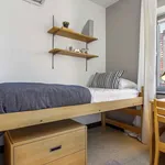 Rent 1 bedroom apartment in New York