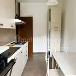 Rent 3 bedroom apartment of 117 m² in Segrate