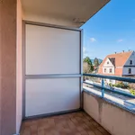 Rent 2 bedroom apartment of 43 m² in Obernai