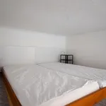 Rent 4 bedroom apartment of 95 m² in Brno