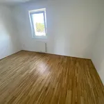 Rent 1 bedroom apartment of 55 m² in Graz