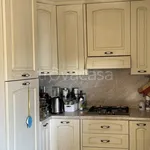 Rent 4 bedroom apartment of 200 m² in Varese