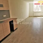 Rent 1 bedroom apartment of 26 m² in Chodov