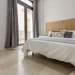 Rent a room in Valencia