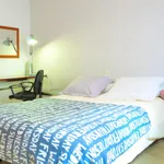 Rent 4 bedroom apartment in Alicante