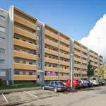 Wohnung über 50 m² in Dresden