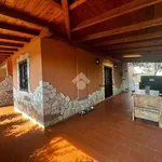 Rent 2 bedroom apartment of 65 m² in Albano Laziale