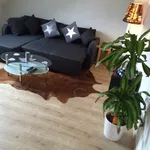 Rent 2 bedroom apartment of 62 m² in Essen