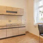 Rent 1 bedroom apartment of 41 m² in Liberec