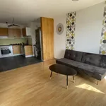 Rent 3 bedroom apartment of 78 m² in Grenoble