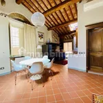 Rent 3 bedroom apartment of 80 m² in Lucca