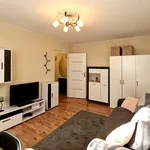 Rent 1 bedroom apartment of 27 m² in Łódź