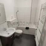 Rent 1 bedroom apartment of 45 m² in Brno