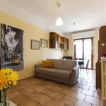 Rent 1 bedroom apartment in milan