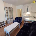 Rent 1 bedroom apartment of 27 m² in Železná Ruda