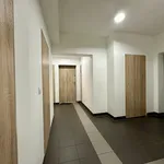 Rent 2 bedroom apartment of 38 m² in Szczecin