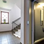 Rent 1 bedroom apartment of 42 m² in Praha 5 - Zličín