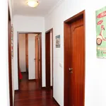 Rent 3 bedroom apartment in Lisbon