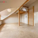 Rent 6 bedroom apartment of 179 m² in Brno-Kníničky