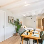 Rent 2 bedroom apartment in barcelona