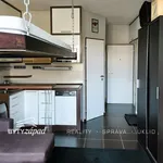 Pronajměte si 1 ložnic/e byt o rozloze 59 m² v Pilsen