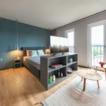 Rent 1 bedroom apartment of 31 m² in Braunschweig