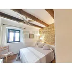 apartamento rústico de planta baja con patio y zona chill-out  en alquiler de segunda residencia en palau-sator