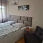 Rent 2 bedroom apartment of 40 m² in Stuttgart