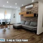 Rent 2 bedroom apartment of 70 m² in Rome