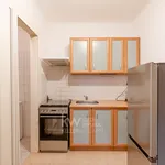 Rent 1 bedroom apartment in Prague