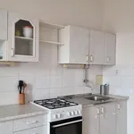 Rent 2 bedroom apartment of 77 m² in Brno