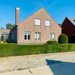 Huur 5 slaapkamer huis in Berlaar