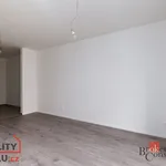 Rent 1 bedroom apartment of 29 m² in Pilsen