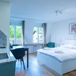 Rent 1 bedroom apartment of 23 m² in Zurich